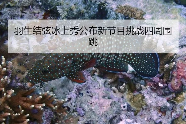 yu-sheng-jie-xian-bing-shang-xiu-gong-bu-xin-jie-mu-tiao-zhan-si-zhou-wei-tiao-3-933.jpg