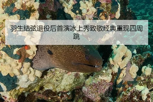 yu-sheng-jie-xian-tui-yi-hou-shou-yan-bing-shang-xiu-zhi-jing-jing-dian-chong-xian-si-zhou-tiao-2-518.jpg