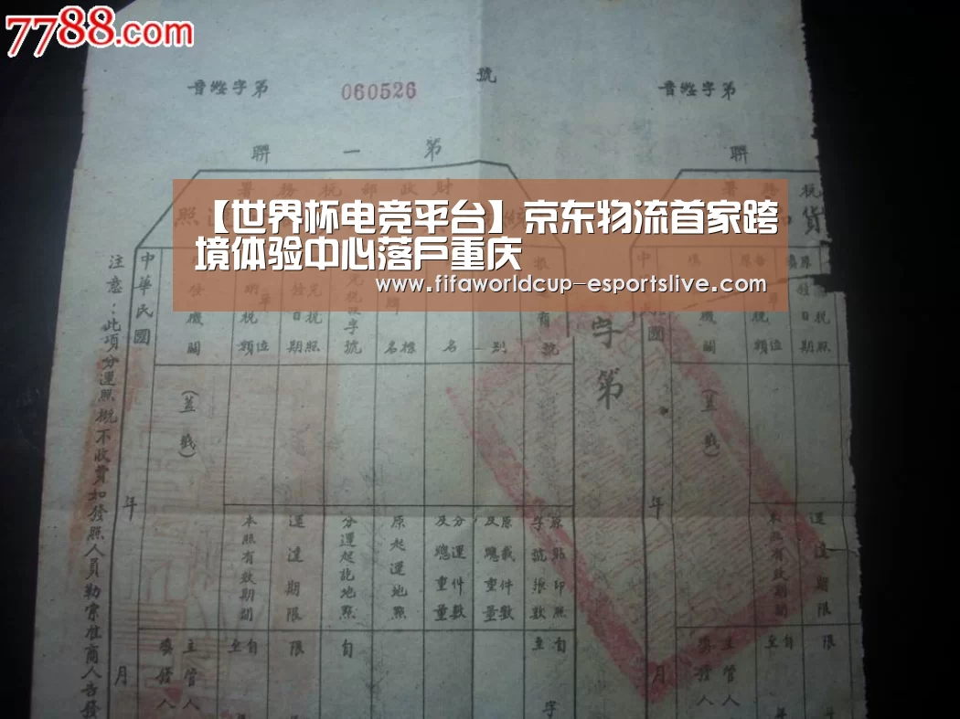 世界杯高清直播
